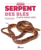 Serpent des blés & autres serpents ratiers : Pantherophis guttata, P. obsoletus, Bogertophis... - Philip Purser