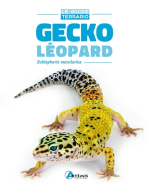 Gecko léopard : Eublepharis macularius - Gerold Merker