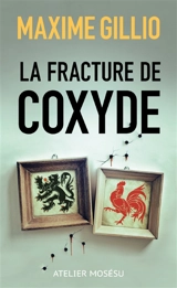 La fracture de Coxyde - Maxime Gillio
