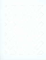 Daniel Dezeuze : nefs et polychromies