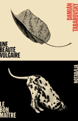 Une beauté vulgaire. Le bon maître : romans - Damian Tabarovsky