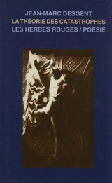 La théorie des catastrophes - Jean-Marc Desgent