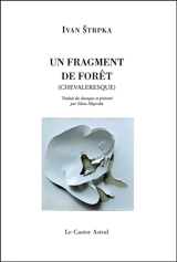 Un fragment de forêt (chevaleresque) - Ivan Strpka