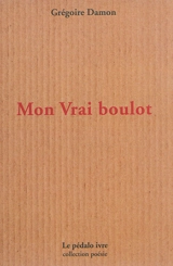 Mon vrai boulot. Flaques - Grégoire Damon