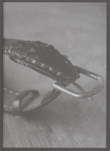 Lison - Martin Verdet