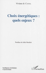 Choix énergétiques : quels enjeux ? - Viviane Du Castel