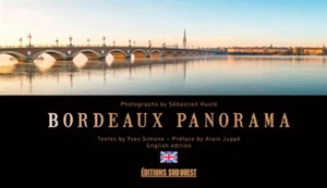 Bordeaux panorama - Yves Simone