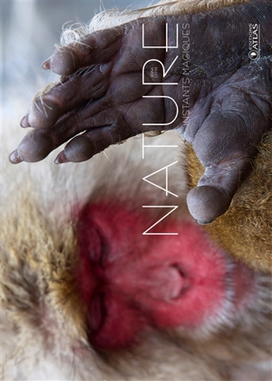 Nature, instants magiques - Anna Levin