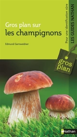 Gros plan sur les champignons - Edmund Garnweidner