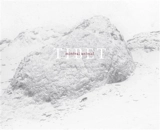 Tibet : minéral animal - Vincent Munier