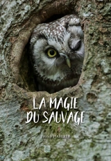 La magie du sauvage - Patrice Haberer