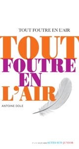 Tout foutre en l'air - Antoine Dole