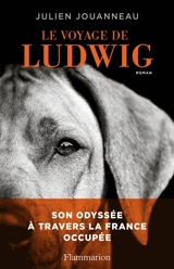 Le voyage de Ludwig - Julien Jouanneau