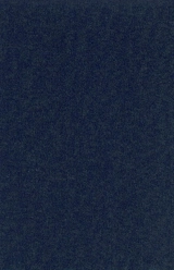 Les neiges labiles : une histoire culturelle de l'avalanche au XVIIIe siècle - Raphaël Rabusseau