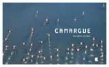 Camargue - Thierry Vezon
