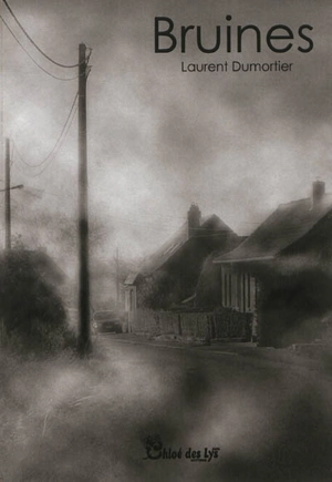 Bruines - Laurent Dumortier