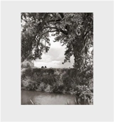 Robert Adams Cottonwoods - Robert Adams