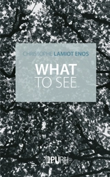 What to see - Christophe Lamiot
