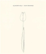 Ellsworth Kelly Plant Drawings - Ellsworth Kelly