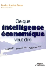 Ce que intelligence économique veut dire : comprendre, comment faire, prendre du recul - Damien Bruté de Rémur