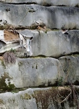 La fabrique du pré - Cyrille Weiner