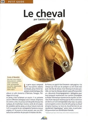 Le cheval - Laetitia Bataille