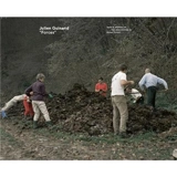 Forces - Julien Guinand