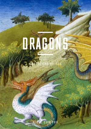 Dragons : cracheurs de feu - Laure Rioust