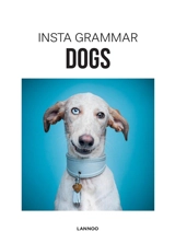 Insta grammar. Dogs