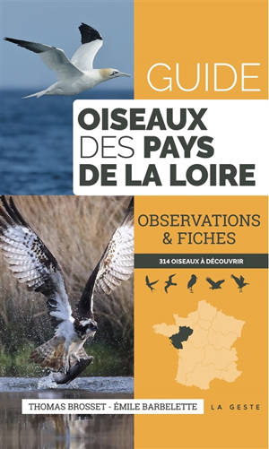 Guide oiseaux des Pays de la Loire : observations & fiches : 314 oiseaux à découvrir - Thomas Brosset