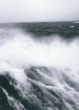 Autre Eden : terres australes et antarctiques françaises - Philippe Lopparelli