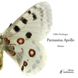 Parnassius Apollo - Gilles Poulanges
