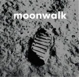 Moonwalk The Story of the Apollo 11 Moon Landing - David Jenkins