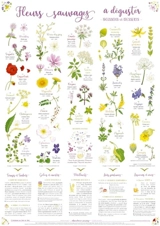 Fleurs sauvages à déguster : boissons et desserts - Caroline Calendula