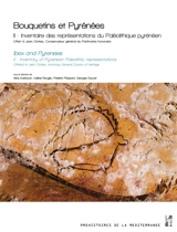 Bouquetins et Pyrénées. Vol. 2. Inventaire des représentations du paléolithique pyrénéen : offert à Jean Clottes, conservateur général du patrimoine honoraire. Inventory of Pyrenean paleolithic representations : offered to Jean Clottes, honorary gene
