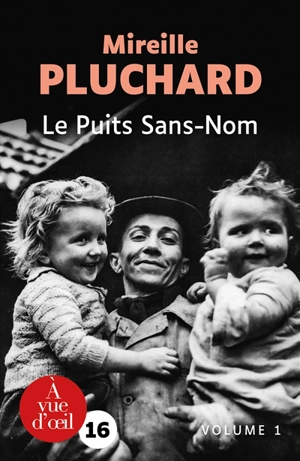 Le puits Sans-Nom - Mireille Pluchard