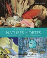 Les plus belles natures mortes : une histoire des choses de la préhistoire à nos jours - Gérard Denizeau