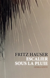 Fritz Hauser : escalier sous la pluie - Bice Curiger