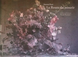 La route du mourir : poèmes - Antonia Pozzi