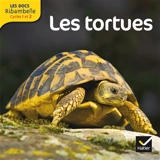 Les tortues : cycle 2 - Valérie Videau