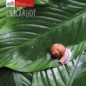 L'escargot - Léa Schneider