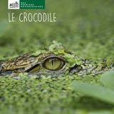 Le crocodile - Léa Schneider