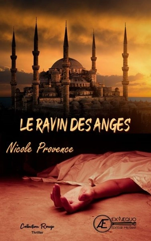 Le ravin des anges - Nicole Provence