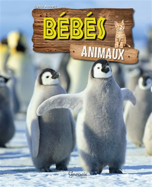 Bébés animaux - Irena Aubert