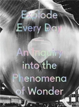 Explode Every Day An Inquiry Into The Phenomena of Wonder - Denise Markonish