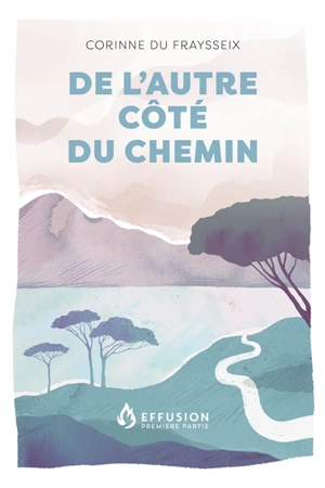 De l'autre côté du chemin - Corinne Du Fraysseix