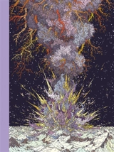 L'année de la comète - Clément Vuillier