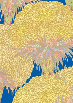 Les succulentes - Clément Vuillier