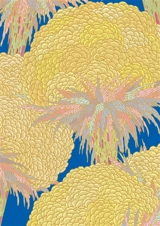 Les succulentes - Clément Vuillier