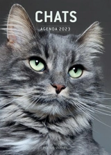 Chats : Agenda 2023 - Modus Vivendi